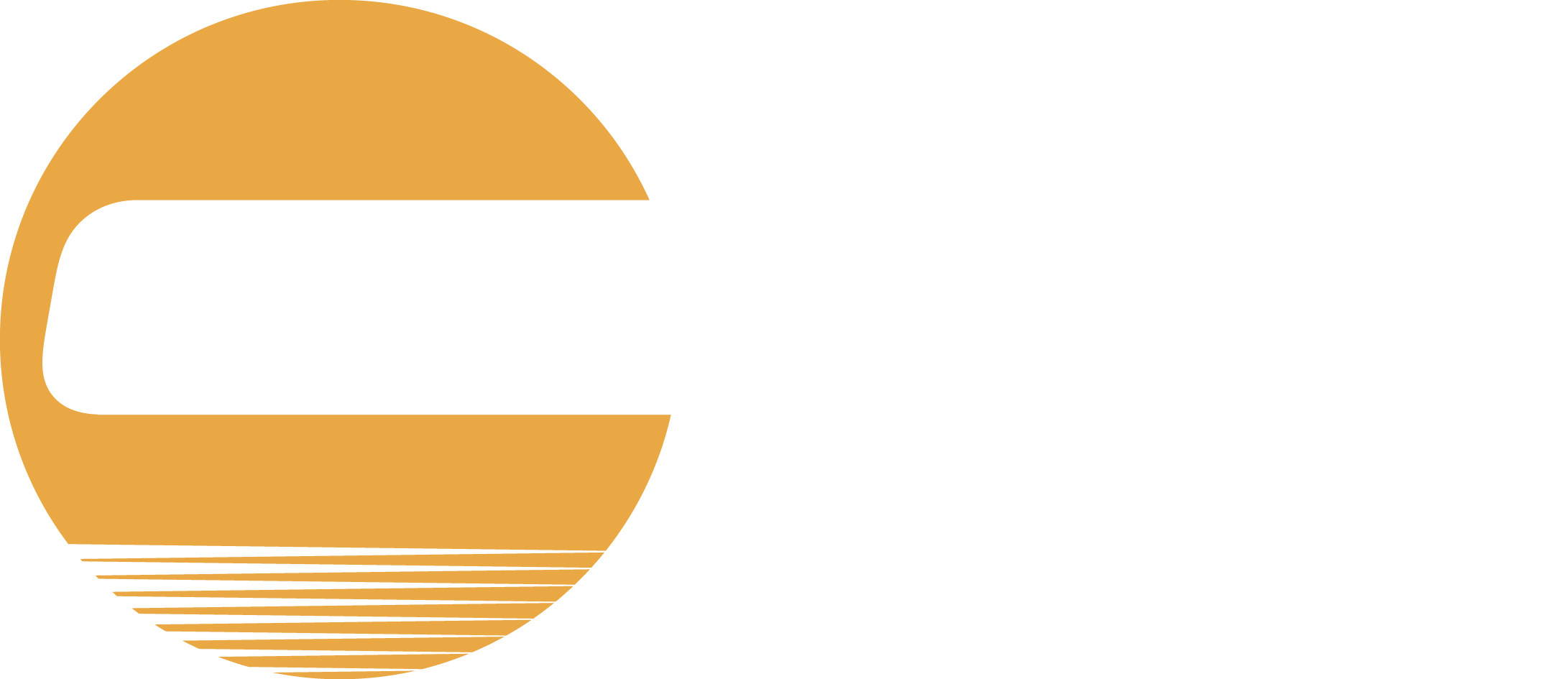 Изображение логотипа компании Снабарматура